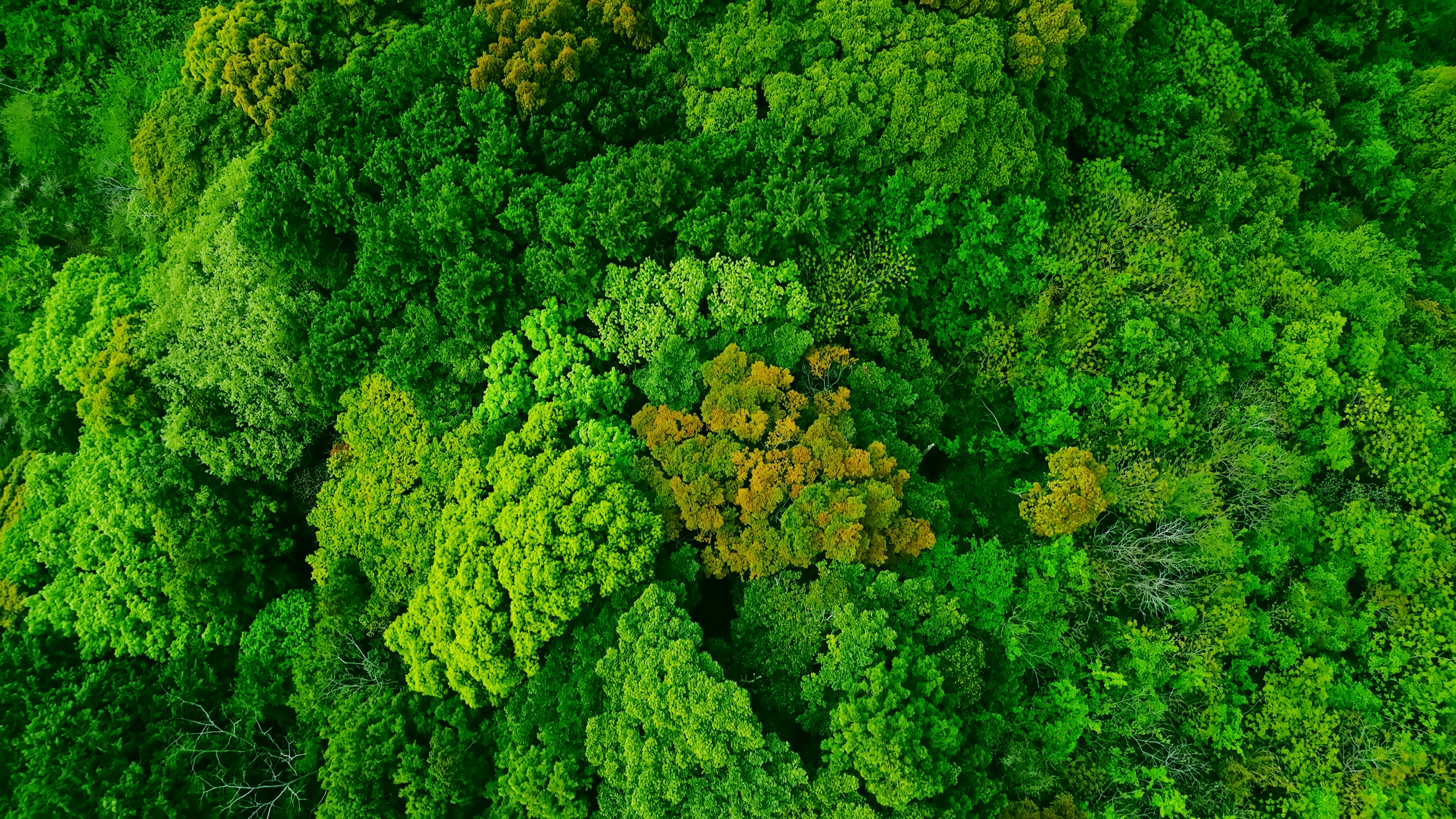 LITEON Included in the Dow Jones Sustainability Indices for Thirteen Consecutive Years, Ranking Among the 2023 DJSI World Index and Emerging Markets Index