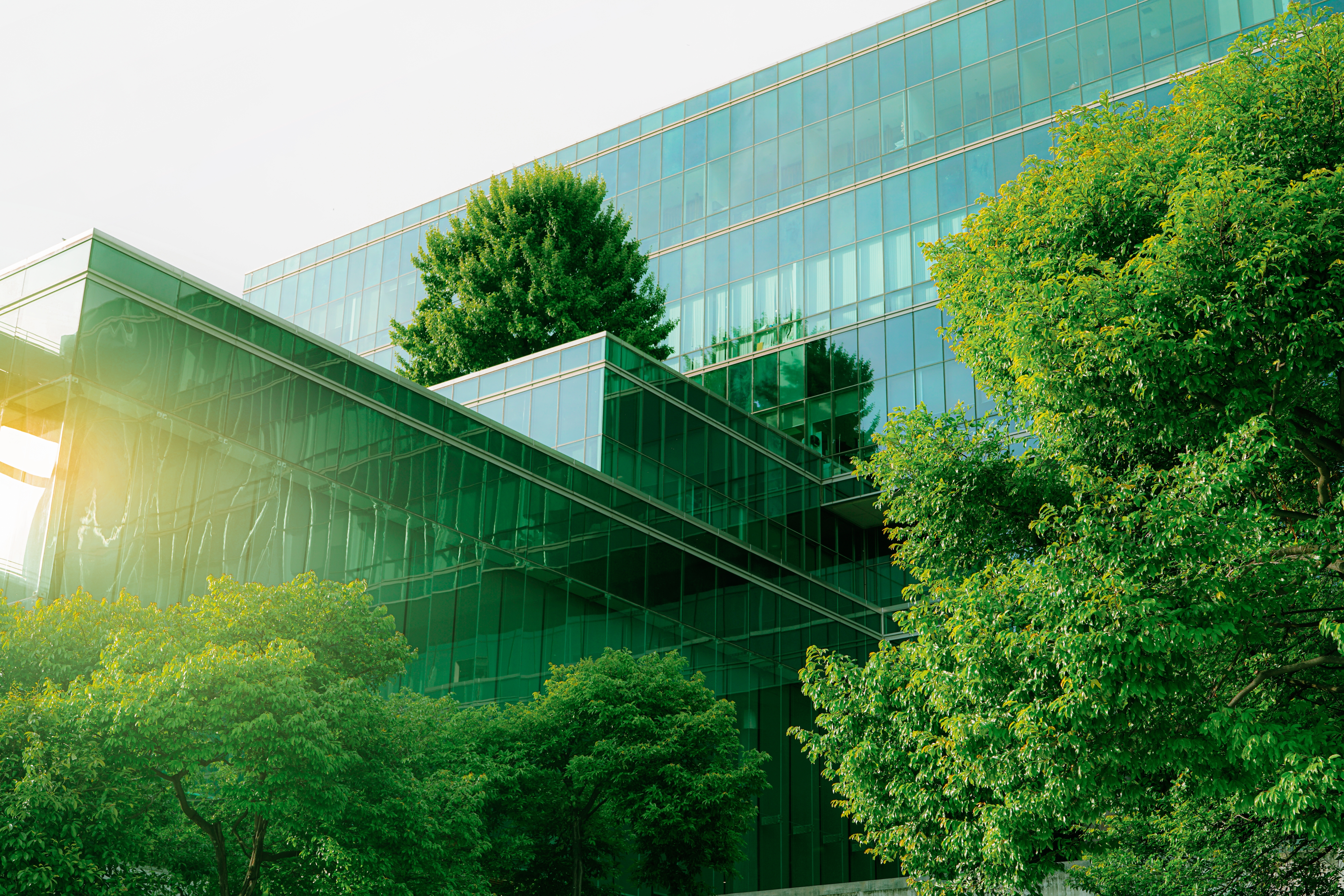 LITEON Included in the Dow Jones Sustainability Indices for Thirteen Consecutive Years, Ranking Among the 2023 DJSI World Index and Emerging Markets Index